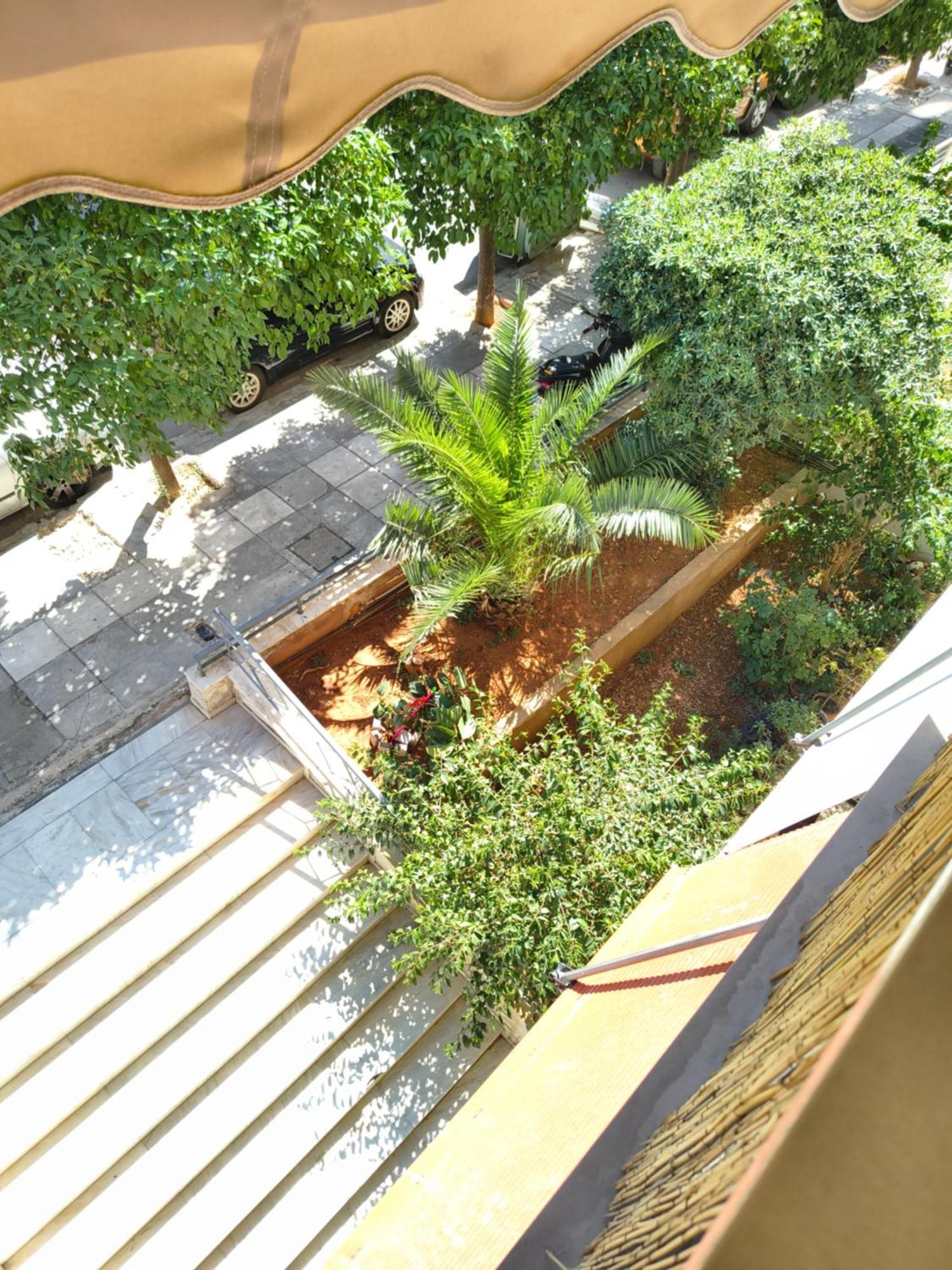 Loya's Apartament Atena